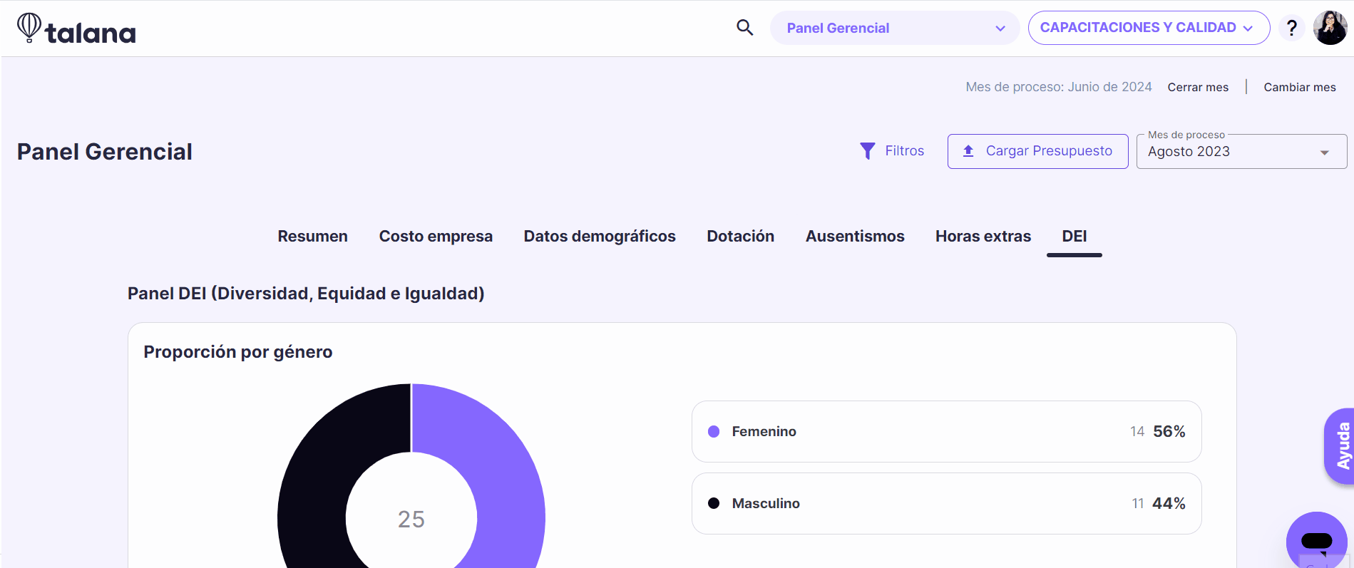 DEI filtros.gif