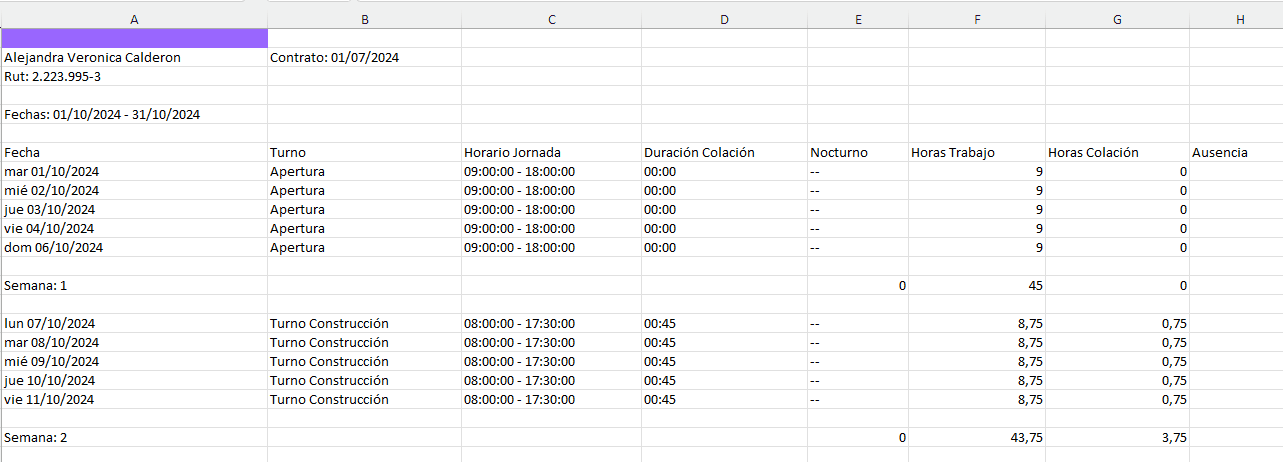 formato excel 4.gif